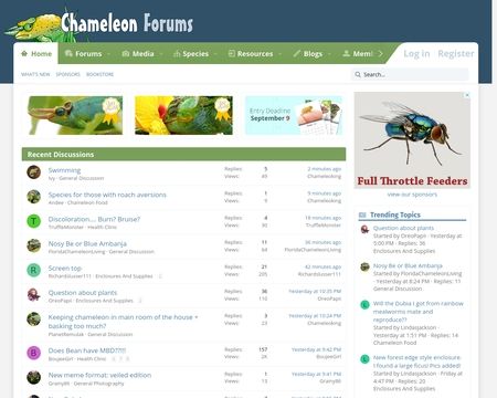 Chameleon Forums