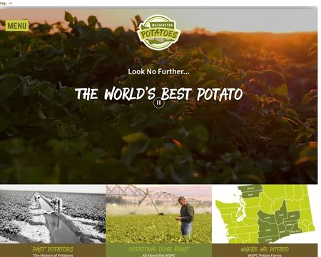 Washington Potato